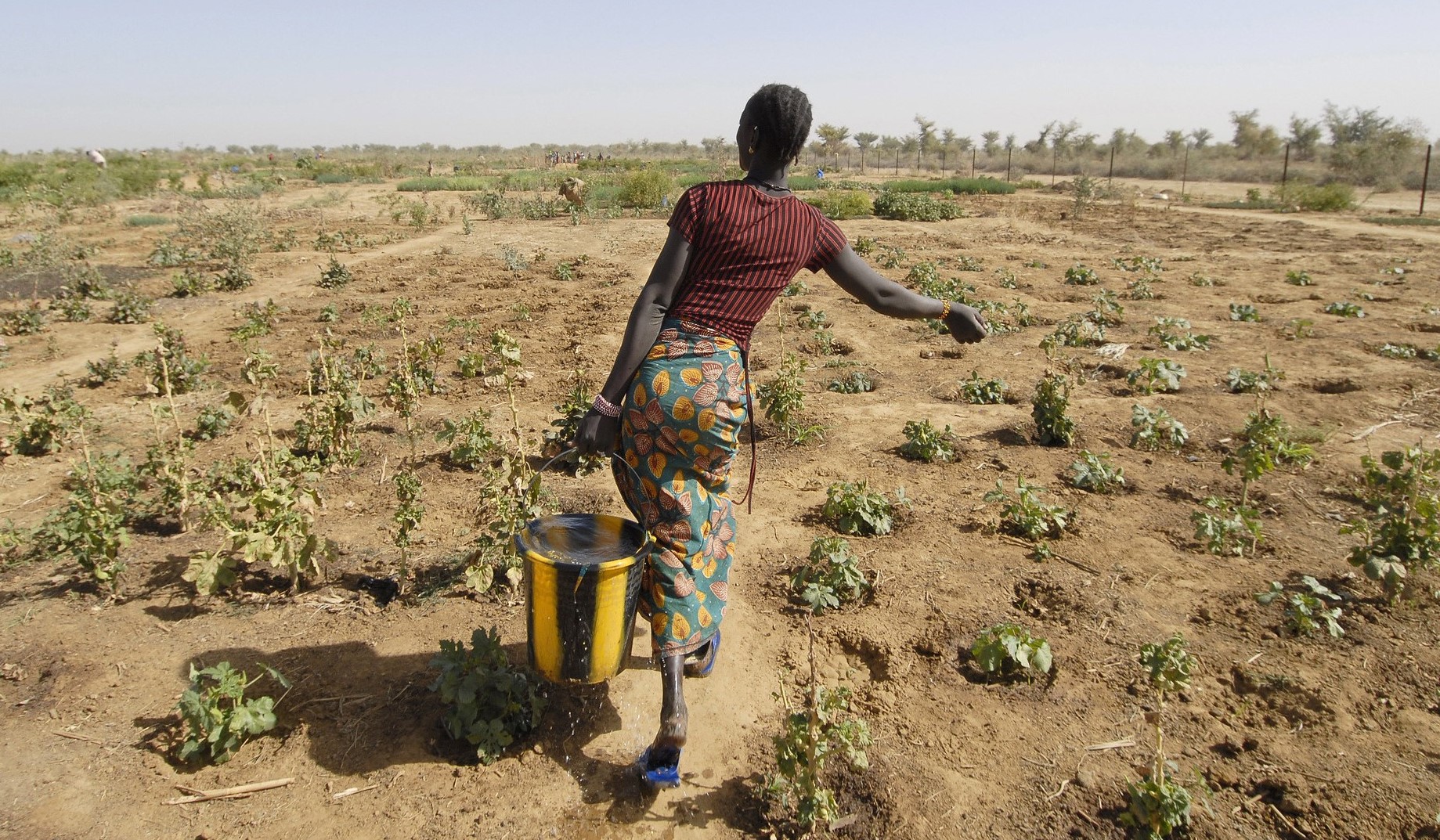 Women Building Resilience in Cities | Cities Alliance