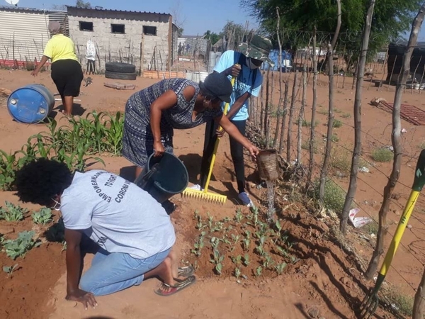 Backyard Gardening, Namibia. Credit_Namibia Housing Action Group (NHAG)