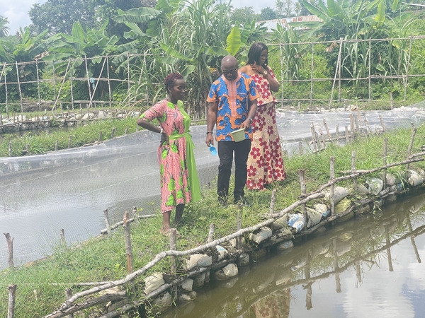fish_farming_sierra leone. credit_centre_of_dialogue_on_human_settlement_and_poverty_alleviation