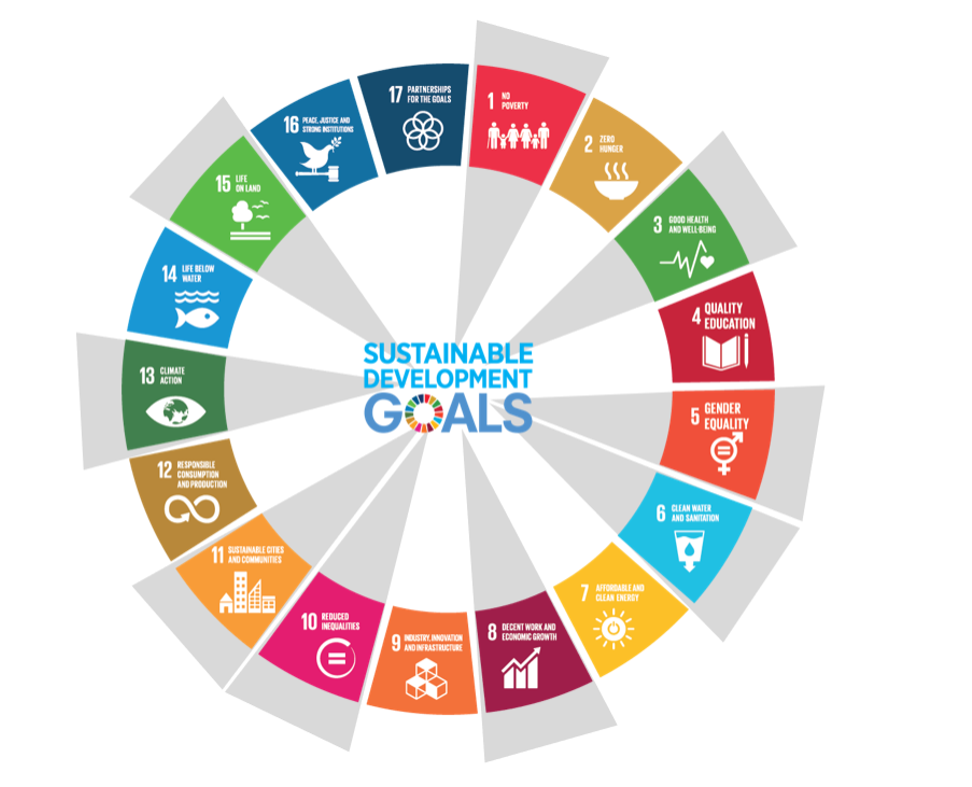Cities Alliance and the SDGs