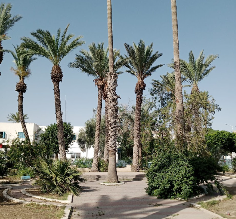 Jardin Municipal, Kairouan, Tunisia