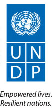 undp.jpg